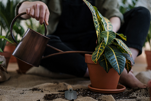 Close up copper watering can potted plants. Barefoot person in background.